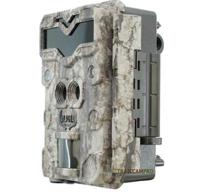 Trail Cameras