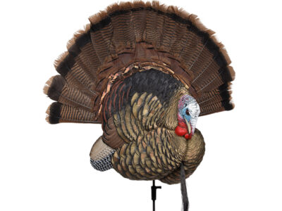 Turkey Decoys