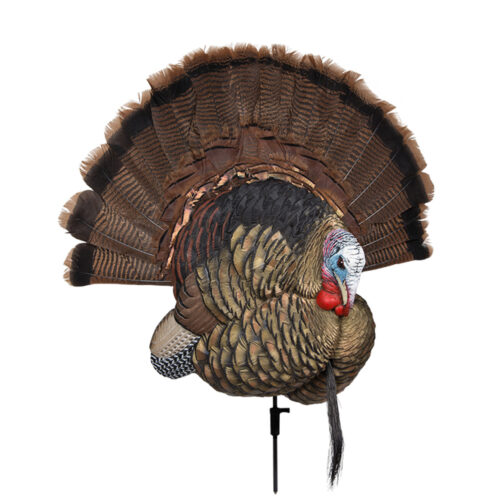 Turkey Decoys